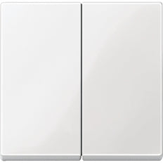 Schneider Electric Merten Systeem M Schakelelement/Centrale Plaat - MTN432519