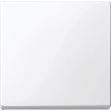 Schneider Electric Merten System M Besturingselement/Centrale plaat Schakelmateriaal - MTN432125 [2 stuks]