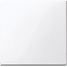 Schneider Electric Merten System M Besturingselement/Centrale plaat Schakelmateriaal - MTN432125 [2 stuks]
