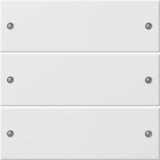 Gira Systeem 55 Knopbussysteem - 218303
