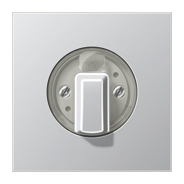 Jung Aluminium/Goudstaal/Chroom Schakelelement/Centrale Plaat - AL1941