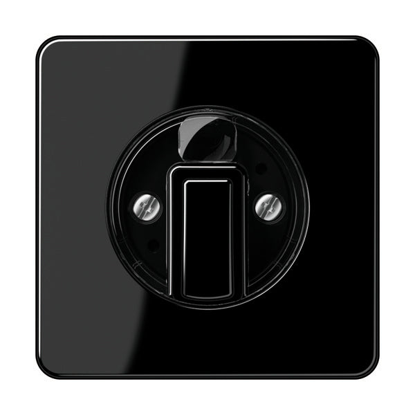 Jung CD500 Schakelelement/Centrale Plaat - CD1541SW