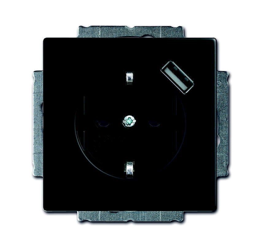 ABB Busch-Jaeger Future Wandcontactdoos (WCD-Schakelmateriaal) - 2CKA002011A6165