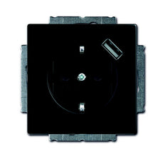 ABB Busch-Jaeger Future Wandcontactdoos (WCD-Schakelmateriaal) - 2CKA002011A6165
