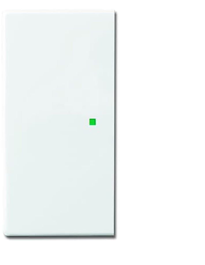 ABB Busch-Jaeger Busch-FreeAtHome Bedieningselement/Centrale Plaat Schakelmateriaal - 2CKA006220A0049 [2 stuks].