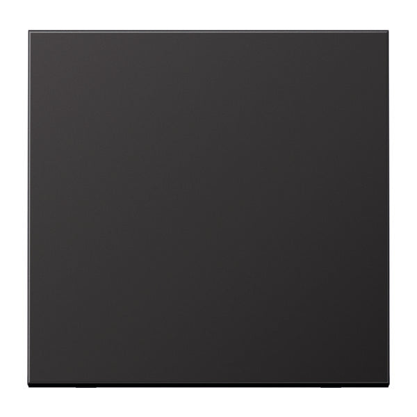 Jung Bedieningselement/Centrale Plaat Schakelmateriaal - AL2990D
