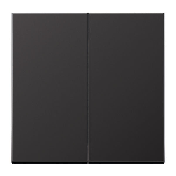 Jung Bedieningselement/Centrale Plaat Schakelmateriaal - AL2995D