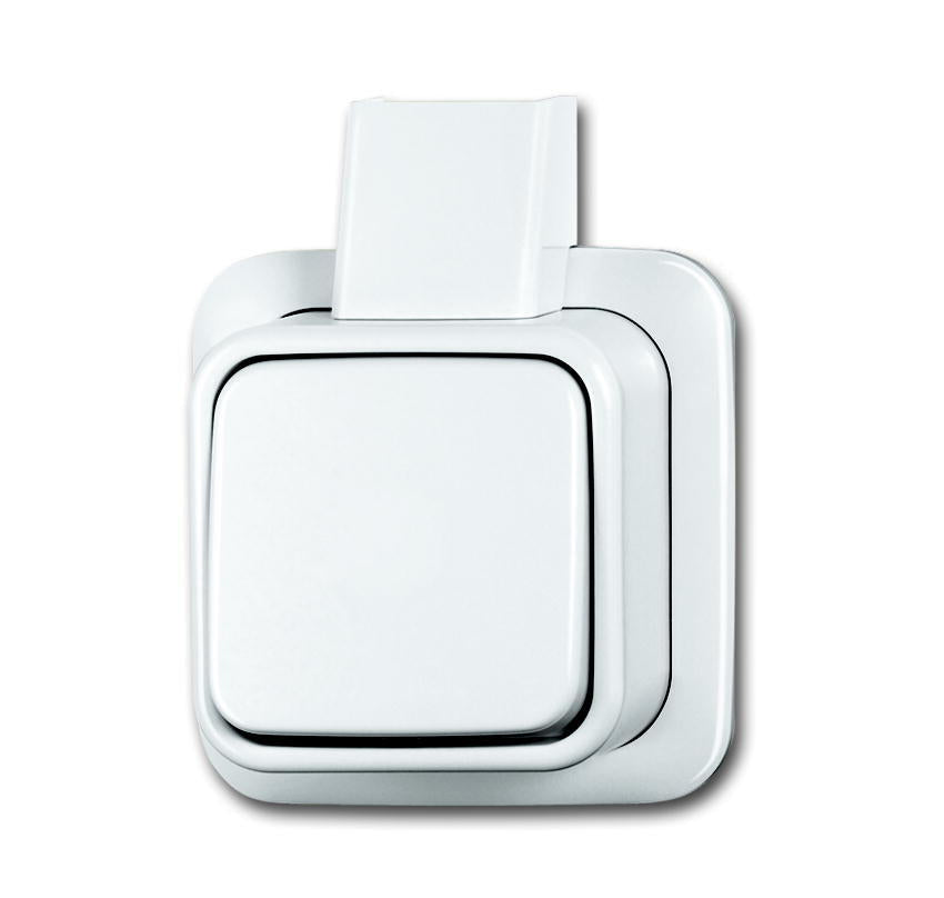 Standaard Opbouwschakelaar ABB Busch-Jaeger - 2CKA001042A1025