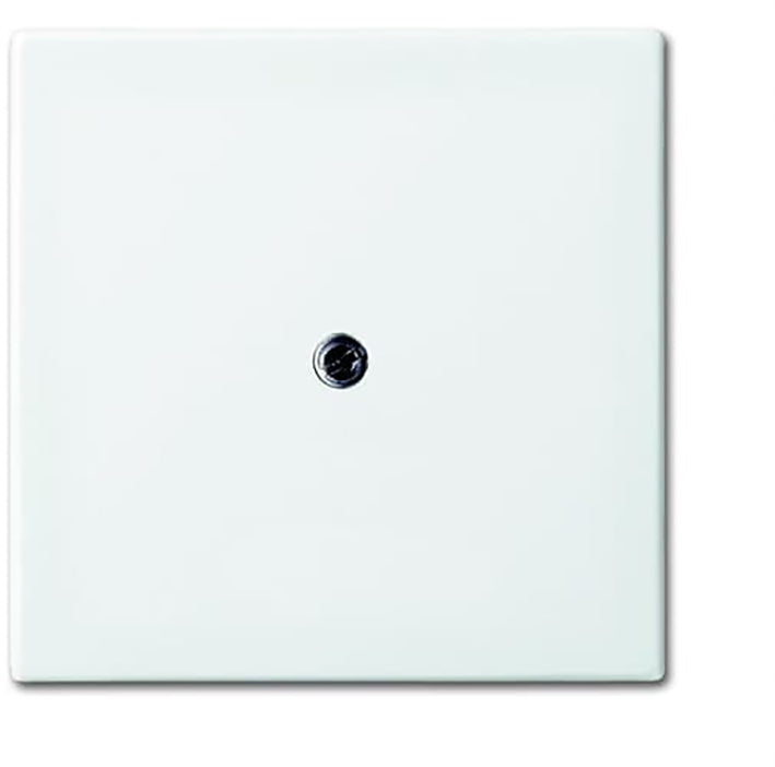 ABB Busch-Jaeger Balance SI Inzetplaat Voor Schakelaars - 2CKA001724A4338