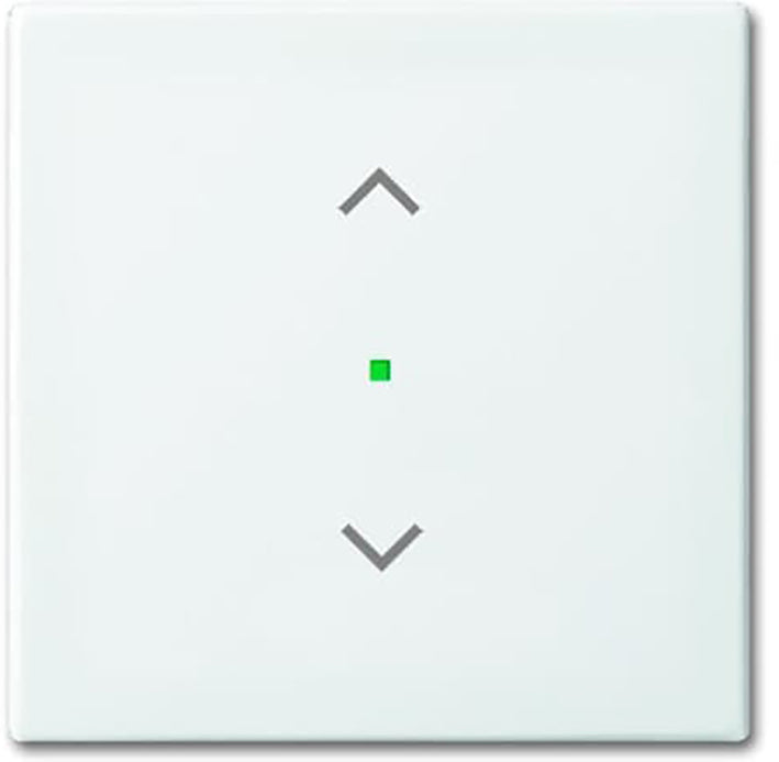 ABB Busch-Jaeger Busch-FreeAtHome Bedieningselement/Centrale Plaat Schakelmateriaal - 2CKA006220A0357 [2 stuks].