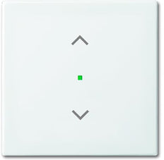 ABB Busch-Jaeger Busch-FreeAtHome Bedieningselement/Centrale Plaat Schakelmateriaal - 2CKA006220A0357 [2 stuks].