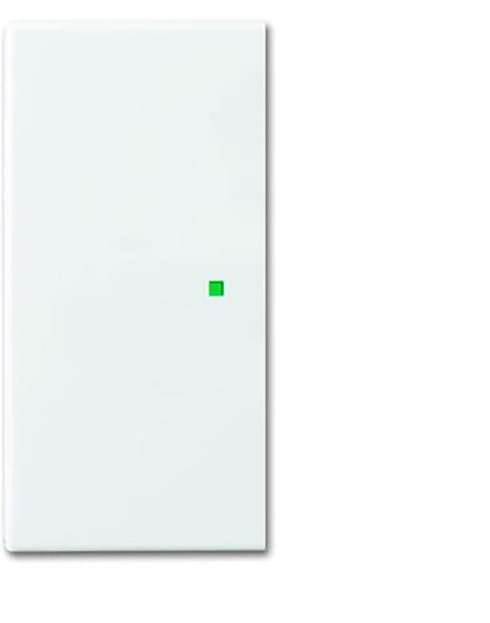 ABB Busch-Jaeger Busch-FreeAtHome Bedieningselement/Centrale Plaat Schakelmateriaal - 2CKA006220A0360 [2 stuks].