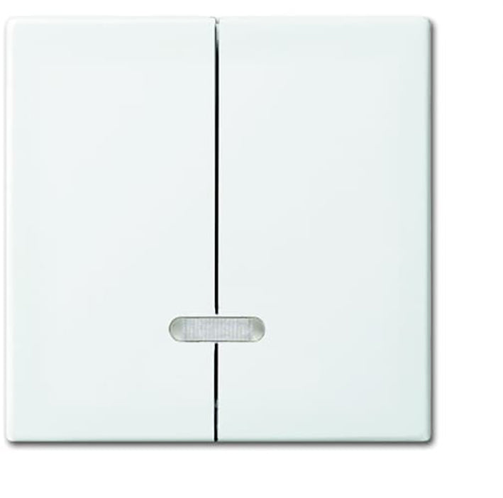 ABB Busch-Jaeger Schakelelement/Centrale Plaat - 2CKA006599A3019