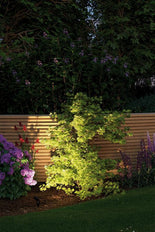 Paulmann tuin/voetpad verlichtingsarmatuur - 93696