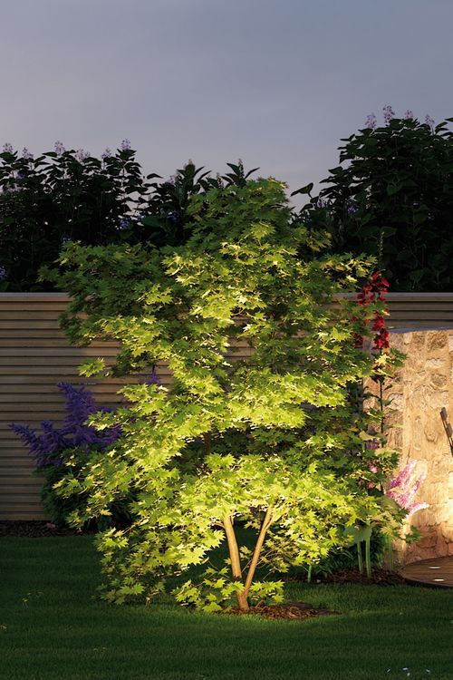 Paulmann tuin/voetpad verlichtingsarmatuur - 93696