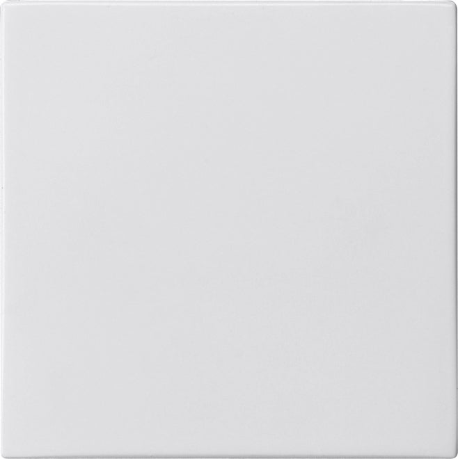 Gira Plug & Light Downlight/Spotlight/Floodlight - 2698102