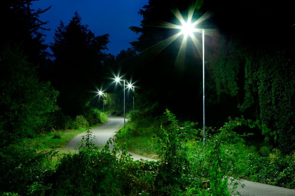 Philips TrueForce Core LED-lamp - 75025100