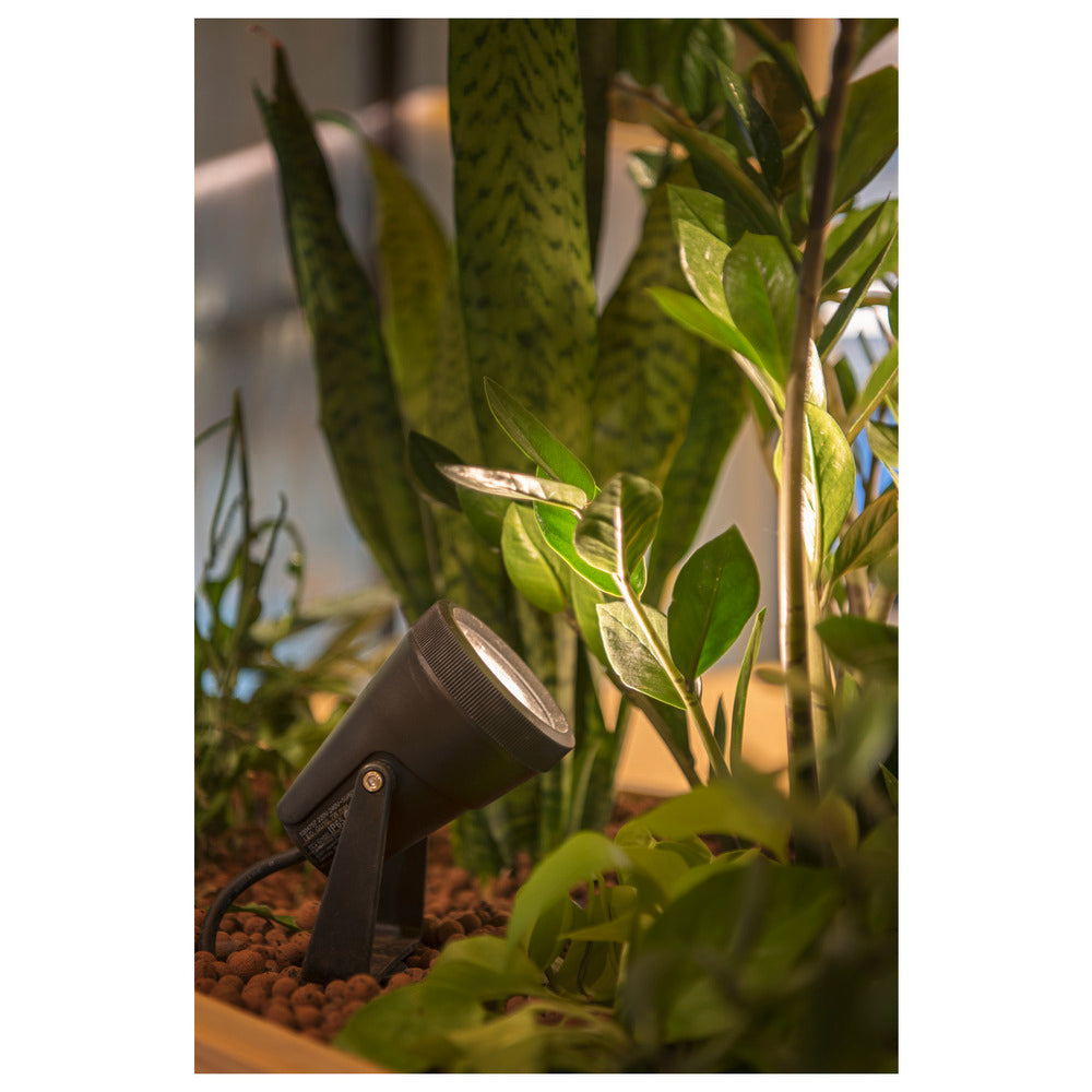 SLV Samrina Tuin-/voetpadverlichtingsarmatuur - 1004757