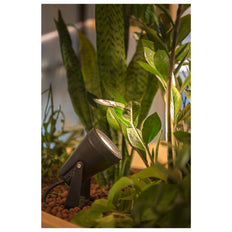 SLV Samrina Tuin-/voetpadverlichtingsarmatuur - 1004757