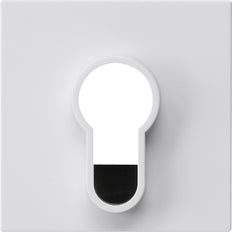 Gira System 55 Sleutelschakelaar Met Knop Zonder Opdruk Wit - 866403