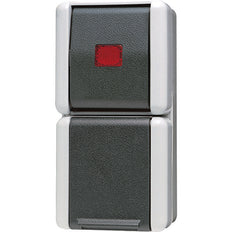 Jung-combinatieschakelaar WG800 met controlelamp - 876KOW