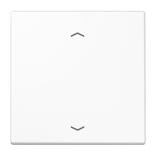 Jung EnO LS 990 A draadloze wandzender met symbolen - ENOLS990PWW