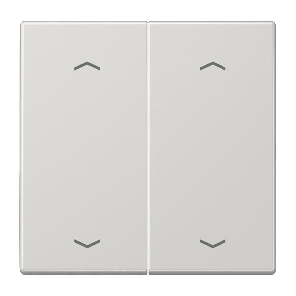 Jung EnO Funk Wandzender LS990 4-kanaals met symbolen - ENOLS995MPLG