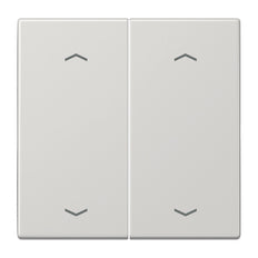 Jung EnO Funk Wandzender LS990 4-kanaals met symbolen - ENOLS995MPLG