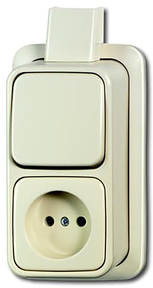ABB Busch-Jaeger Combischakelaar Plaat Wandcontactdoos - 2CKA001642A0157