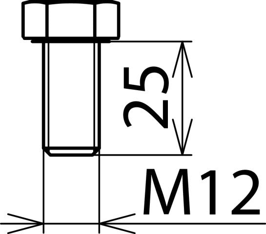 Dehn Zeskantbout DIN 933 M12x25mm Roestvast Staal - 561925 [5 stuks]