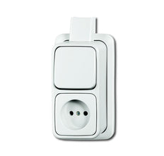 ABB Busch-Jaeger Combischakelaar Wandcontactdoos AP Alpin - 2CKA001642A0160