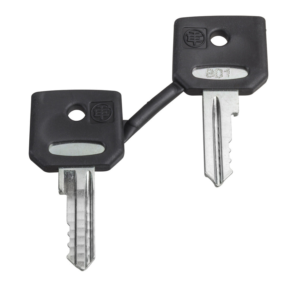 Schneider Electric Harmony ZB 421E Vervang Sleutels Set - ZBG421E