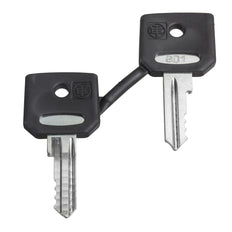 Schneider Electric Harmony ZB 421E Vervang Sleutels Set - ZBG421E