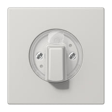 Jung LS990 Lichtgrijze Rotary Switch Afdekking - LS1941LG