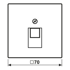 Antieke Messing UAE Netwerk Afdekking Plaat LS Serie - ME2969-1UAAT