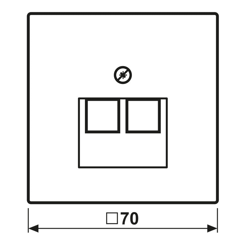 Antieke Messing Dubbele UAE Netwerk Socket Afdekking Plaat - ME2969-2UAAT