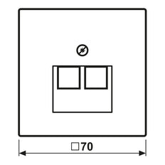 Antieke Messing Dubbele UAE Netwerk Socket Afdekking Plaat - ME2969-2UAAT
