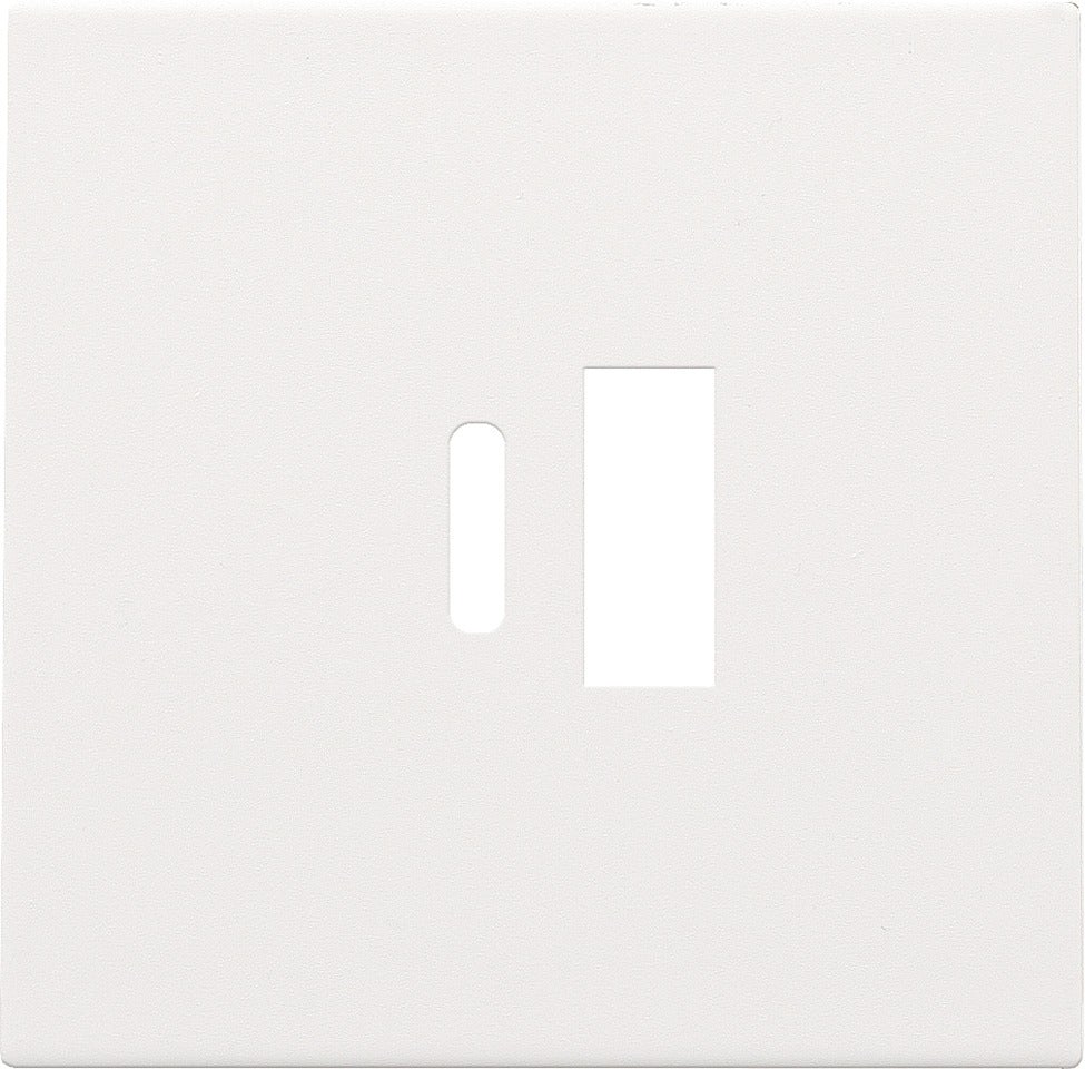 Dubbele Slimme Usb-A En Usb-C Oplader Afdekking Wit - 154-68002