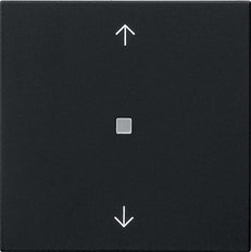 Gira Enet Draadloze Pijlbedieningseenheid Zwart Matt - 5494005