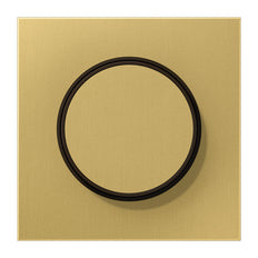 Jung LS Bereik Classic Messing Dimmer Afdekking Plaat - ME1740C