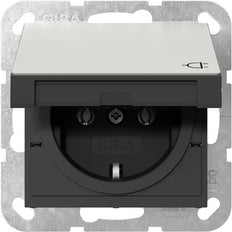 Gira Systeem 55 RVS Schuko Stopcontact Met Scharnierende Afdekking - 4454600