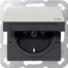 Gira Systeem 55 RVS Schuko Stopcontact Met Afdekking - 4414600