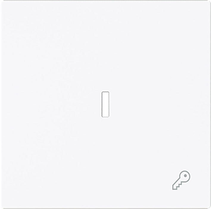 ABB Busch Enkele Rocker Schakelaar Met Sleutel Symbool En Lens - 2CKA001751A3377