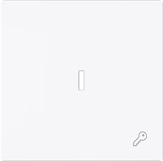ABB Busch Enkele Rocker Schakelaar Met Sleutel Symbool En Lens - 2CKA001751A3377