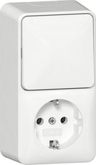 Verticale Gecombineerde Schakelaar Stopcontact Met Montageplaat - 417614