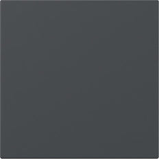 Gira Systeem 55 Antraciet Rechtop Controle Rocker - 349628 [2 Stuks]