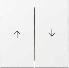 Gira Systeem 55 Dubbele Wip Schakelaar Met Pijl Symbool - 329403