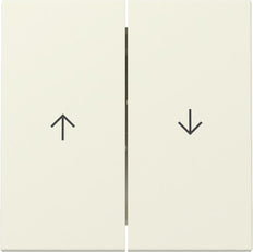 Gira Systeem 55 Dubbele Wip Schakelaar Met Pijl Symbool - 329401