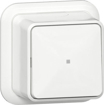 Gira 2-Pole Control Switch With LED Indicator Surface Mount - 311211