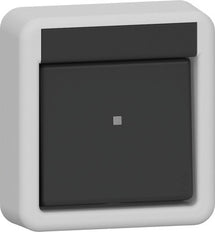 Gira IP44 Twee-Pole Opbouw Schakelaar Grijs - 310235